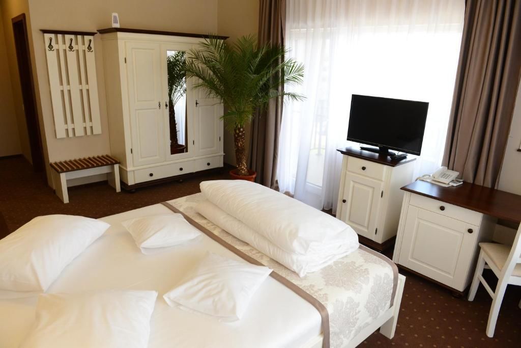 Отель Hotel Europa Бая-Маре